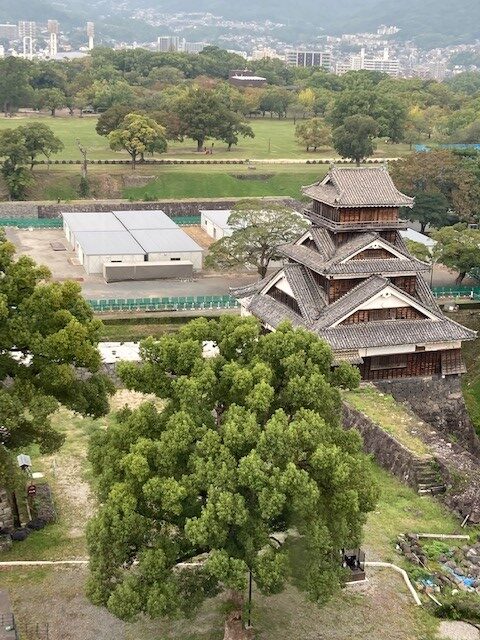 kumamoto-castle-view